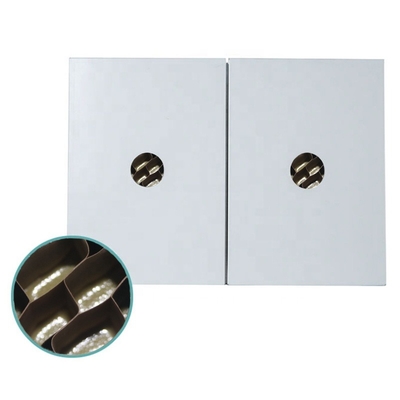 180kg/m3 Paper Traditional Honeycomb Handmade Purification Board For Ceiling Clean Room Modern Wall Panels